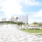 Sunset Waves Ii - Arena *